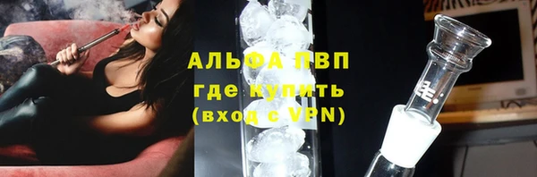 СК Балахна