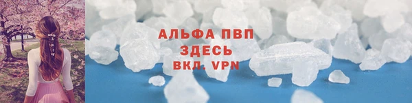 прущие крисы Пересвет