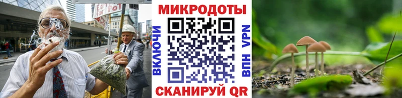 даркнет сайт  Сосновый Бор  Псилоцибиновые грибы Psilocybine cubensis 