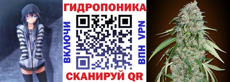 как найти   Сосновый Бор  Конопля сатива 